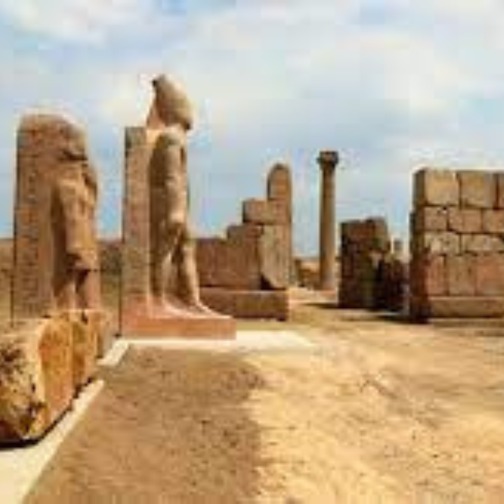 Full Day Tour Tanis & Bubastis