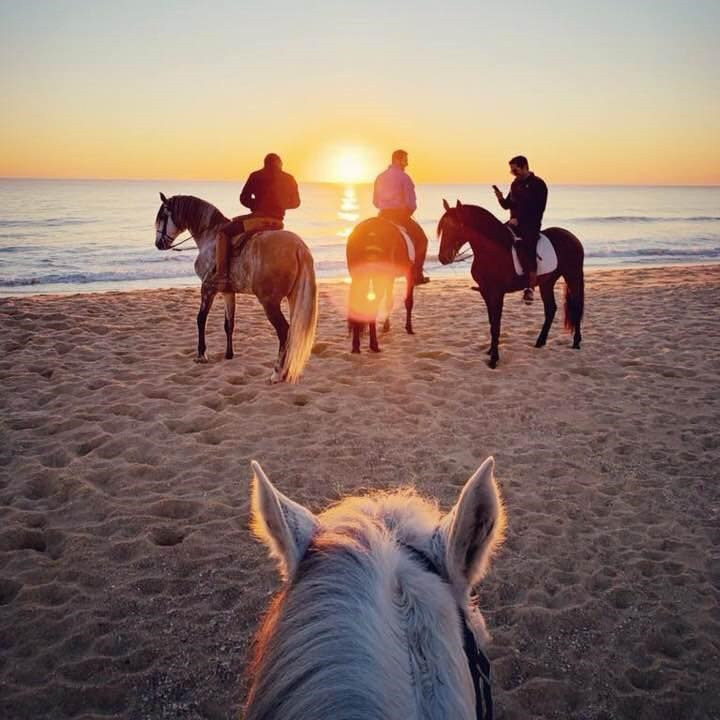 Horse Ride in Sharm El Sheikh
