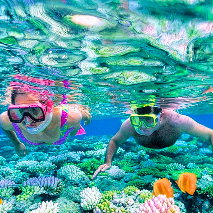 Snorkel in Ras Mohamed National Park