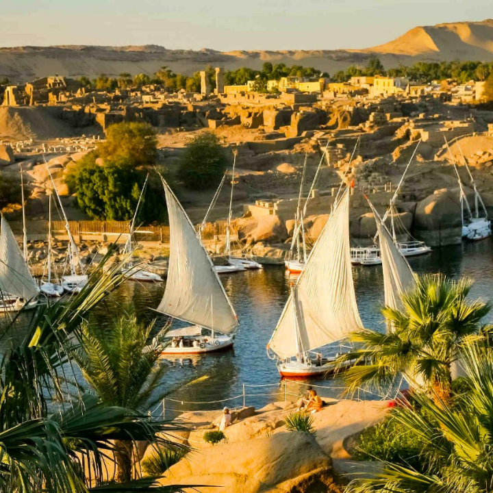 Private Felucca Trip to Elephantine Island & Botanical Gardens